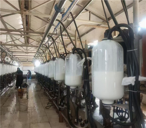 擠奶裝備擠奶廳